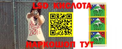 стаф Бугуруслан