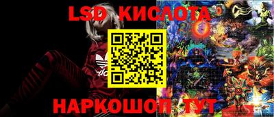 стаф Бугуруслан