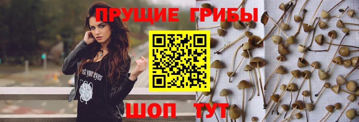 Псилоцибиновые грибы мухоморы Армавир