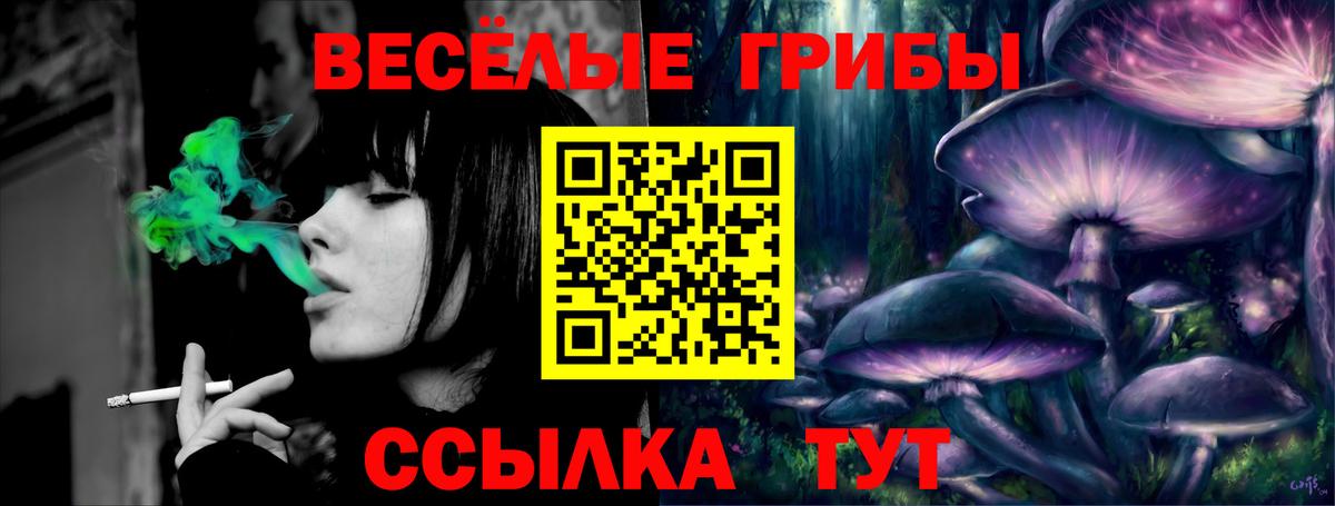 Галлюциногенные грибы прущие грибы  Вход с VPN  Галлюциногенные грибы Cubensis  Армавир 